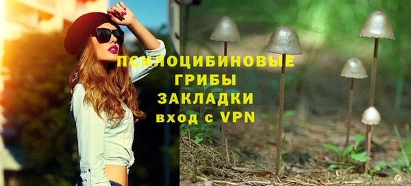 крисы Армянск