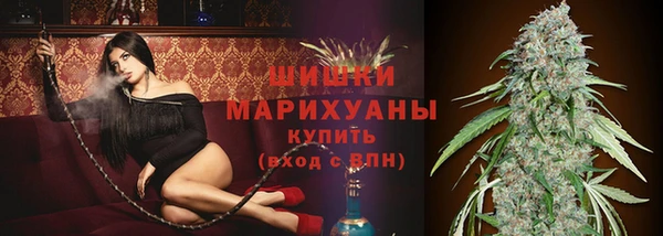крисы Армянск