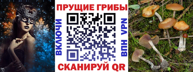hydra зеркало  Рудня  Псилоцибиновые грибы GOLDEN TEACHER 